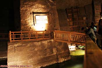 IMG_ (11939)